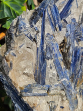 Load image into Gallery viewer, Blue Kyanite on custom made stand - The Face
