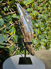 Load image into Gallery viewer, Blue Kyanite on custom made stand
