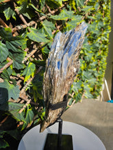 Load image into Gallery viewer, Blue Kyanite on custom made stand
