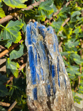 Load image into Gallery viewer, Blue Kyanite on custom made stand
