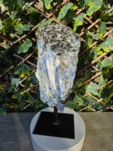 Load image into Gallery viewer, Blue Kyanite on custom made stand
