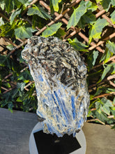 Load image into Gallery viewer, Blue Kyanite on custom made stand
