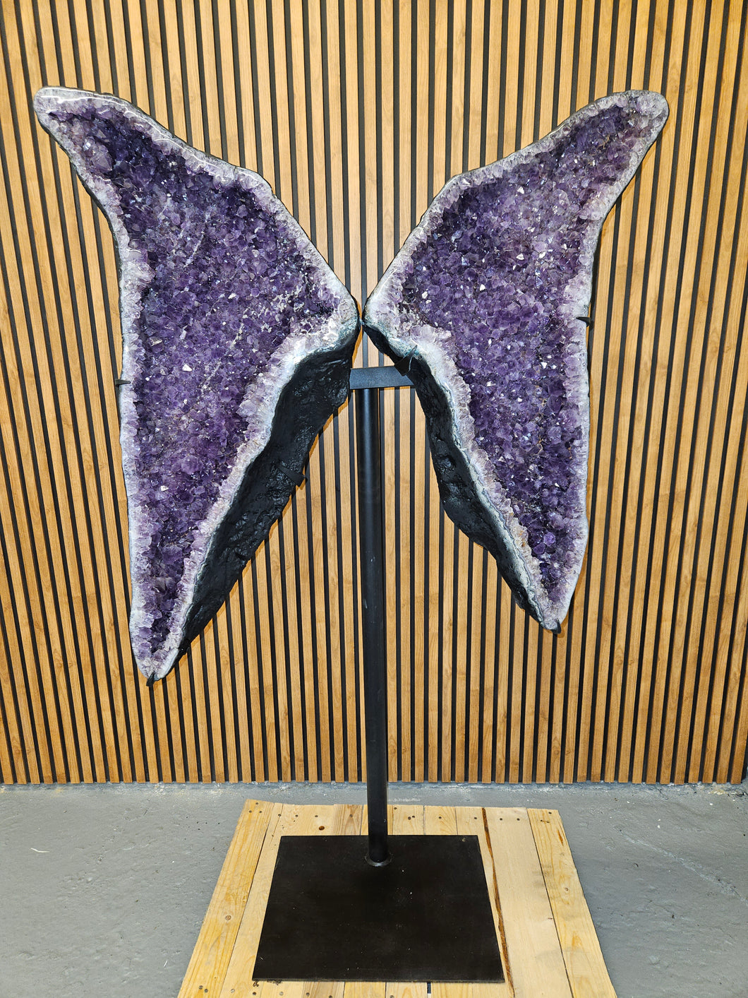 Amethyst Angel Butterfly Purple wings high quality Huge 1.46M High
