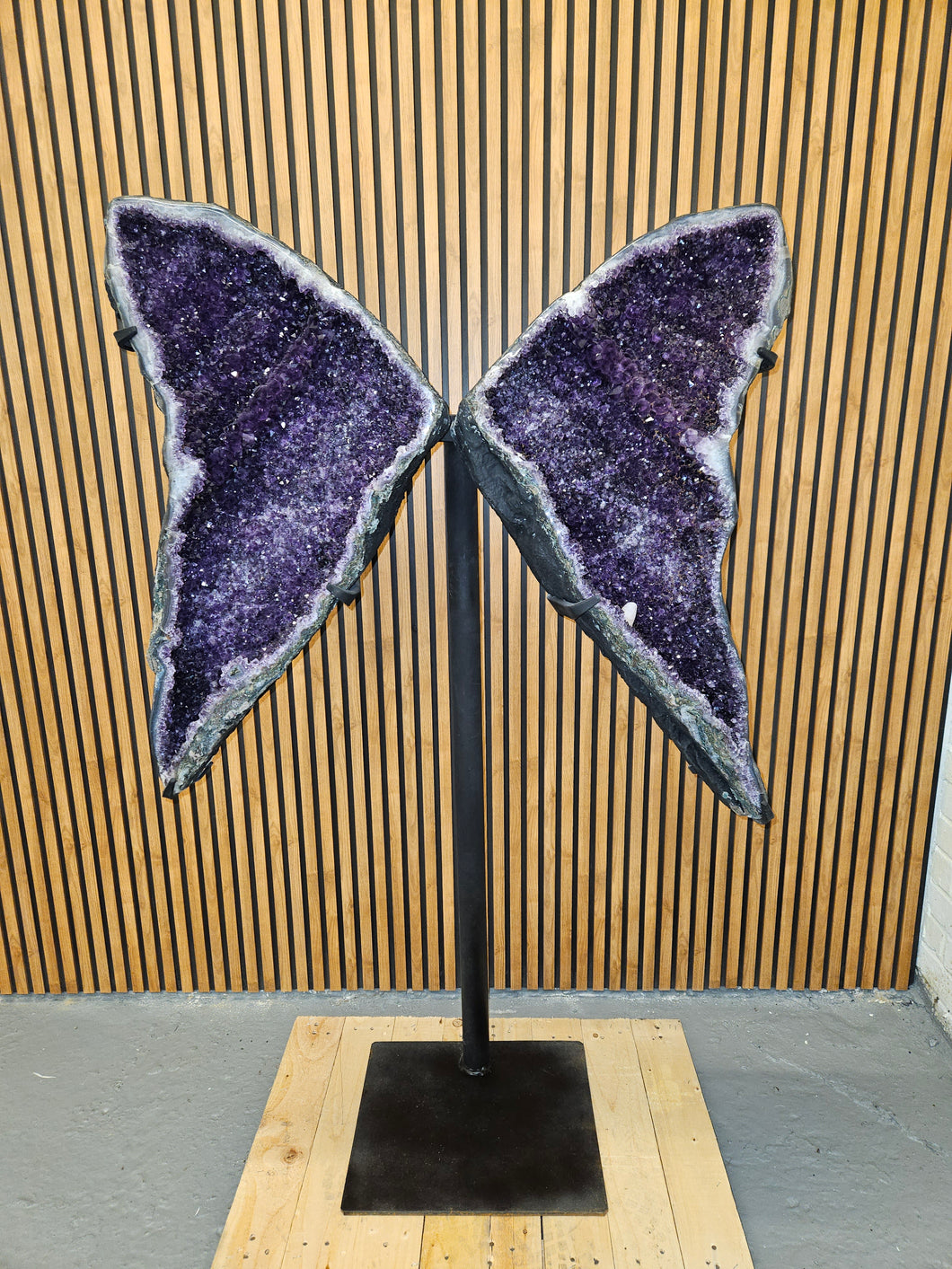 Amethyst Angel Butterfly Purple wings high quality Huge 1.42M High