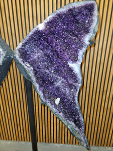 Amethyst Angel Butterfly Purple wings high quality Huge 1.42M High