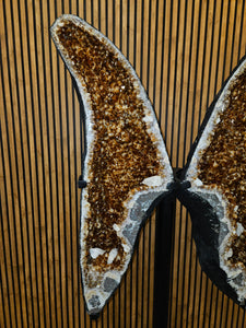 Citrine Angel wings Butterfly wings on stand - The money Stone