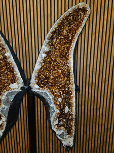Citrine Angel wings Butterfly wings on stand - The money Stone