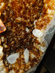 Citrine Angel wings Butterfly wings on stand - The money Stone