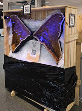 Load image into Gallery viewer, CITRINE wings with 6ft wingspan
