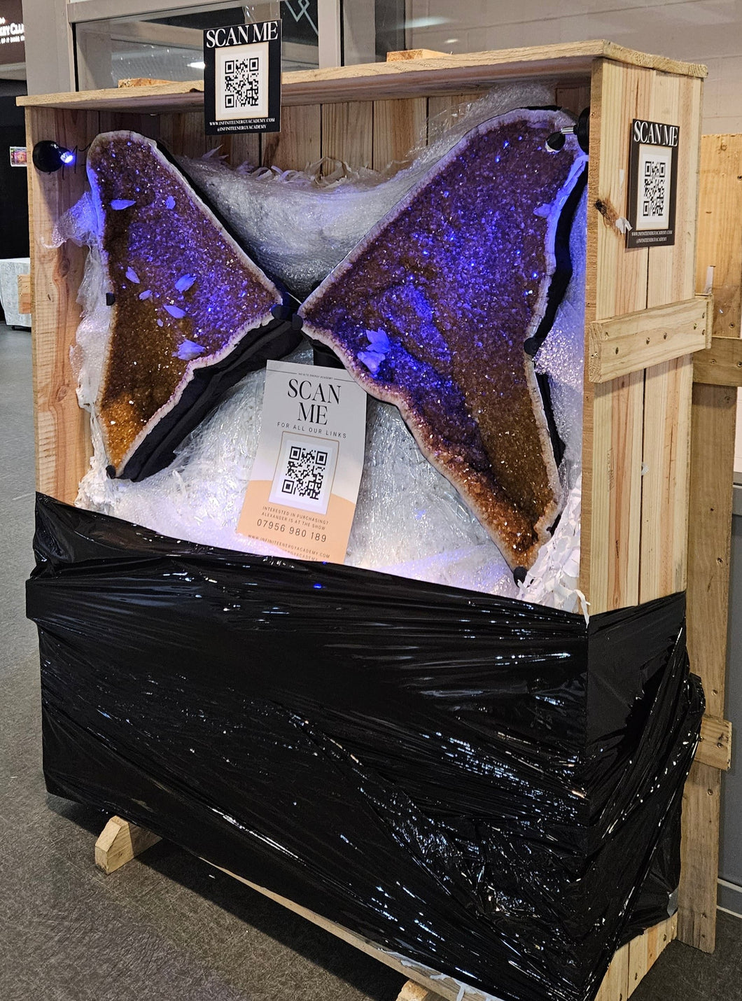 CITRINE wings with 6ft wingspan