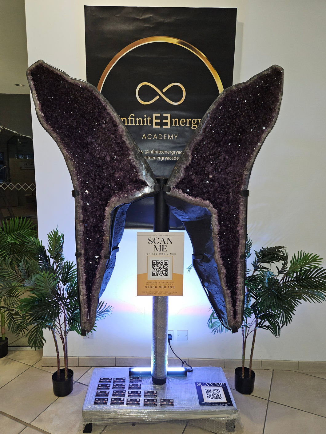 The UK's Largest Amethyst wings