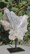 Load and play video in Gallery viewer, Blue Kyanite on custom made stand

