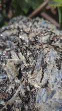 Load and play video in Gallery viewer, Blue Kyanite on custom made stand
