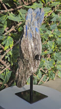 Load and play video in Gallery viewer, Blue Kyanite on custom made stand
