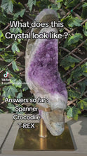 Load and play video in Gallery viewer, TREX AMETHYST ON SPINNING STAND
