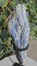 Load and play video in Gallery viewer, Blue Kyanite on custom made stand
