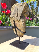 Load image into Gallery viewer, Rainbow Amethyst from Uruguay on stand - ARCO IRIS
