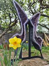 Load image into Gallery viewer, Amethyst Butterfly Angel wings with standing Crystal - APATURA IRIS
