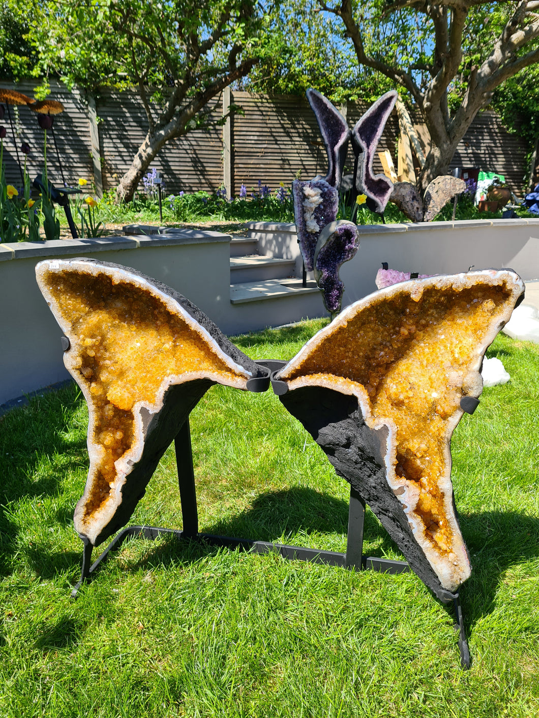 CITRINE BUTTERFLY ANGEL WINGS ON STAND - RAIO DE SOL