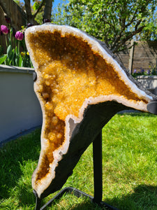 CITRINE BUTTERFLY ANGEL WINGS ON STAND - RAIO DE SOL