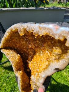 CITRINE BUTTERFLY ANGEL WINGS ON STAND - RAIO DE SOL