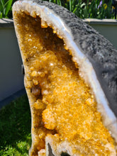 Load image into Gallery viewer, CITRINE BUTTERFLY ANGEL WINGS ON STAND - RAIO DE SOL
