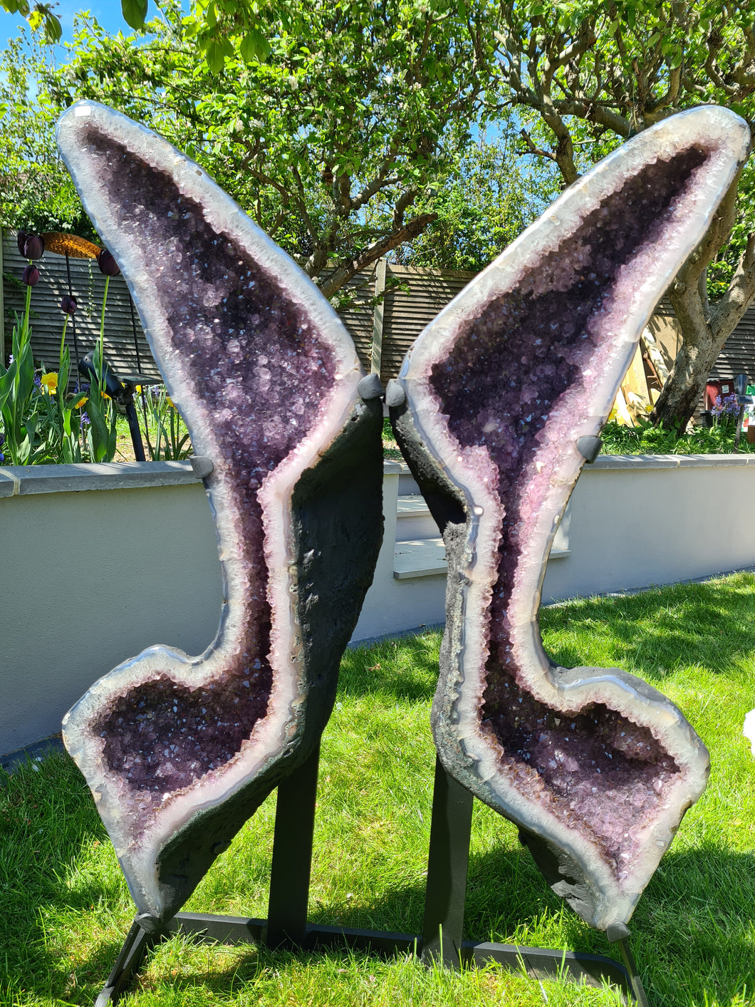 Amethyst Butterfly Angel wings with standing Crystal - APATURA IRIS