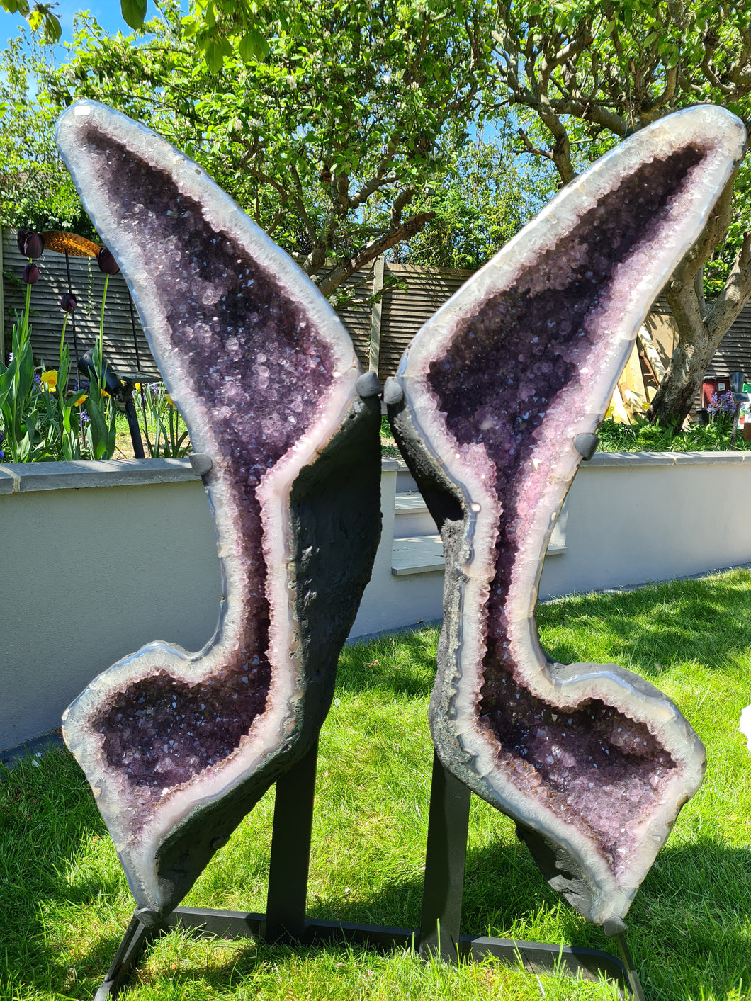 Amethyst Butterfly Angel wings with standing Crystal - APATURA IRIS
