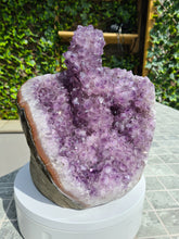 Load image into Gallery viewer, Amethyst with large Stalactite from Uruguay free standing - TITAN Active
