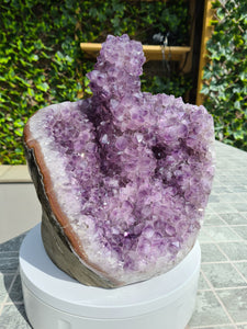 Amethyst with large Stalactite from Uruguay free standing - TITAN Active