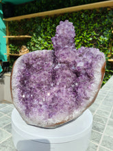 Load image into Gallery viewer, Amethyst with large Stalactite from Uruguay free standing - TITAN Active

