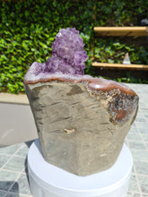 Load image into Gallery viewer, Amethyst with large Stalactite from Uruguay free standing - TITAN Active
