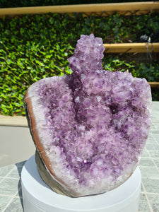 Amethyst with large Stalactite from Uruguay free standing - TITAN Active
