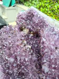 Amethyst from Uruguay on stand - Hidden secret's Active