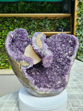 Load image into Gallery viewer, Amethyst from Uruguay with Calcite - VENUS FLOWER Active
