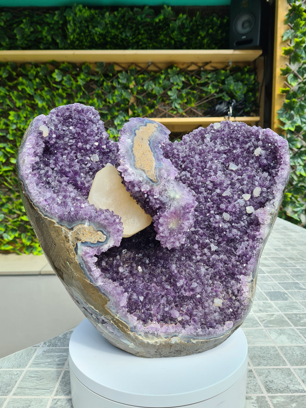 Amethyst from Uruguay with Calcite - VENUS FLOWER Active