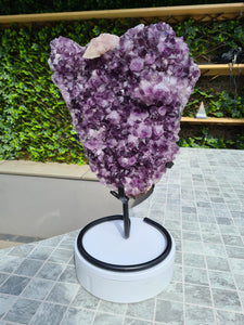Amethyst Heart Shield from Uruguay on stand Active - Shielded Heart