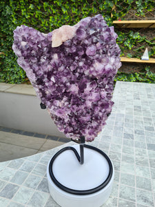 Amethyst Heart Shield from Uruguay on stand Active - Shielded Heart
