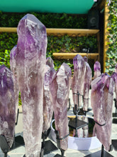 Load image into Gallery viewer, HUGE XL Amethyst Wand / Root on stand from Brazil AAA+ 500g to 650g

