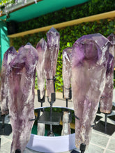 Load image into Gallery viewer, HUGE XL Amethyst Wand / Root on stand from Brazil AAA+ 500g to 650g
