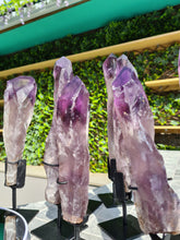 Load image into Gallery viewer, HUGE XL Amethyst Wand / Root on stand from Brazil AAA+ 500g to 650g
