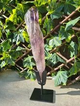 Load image into Gallery viewer, HUGE XL Amethyst Wand / Root on stand from Brazil AAA+ 500g to 650g

