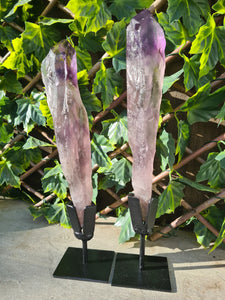 Amethyst Wand / Root on stand from Brazil AAA+ 500g to 650g
