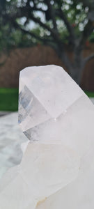 QUARTZ LEMURIAN QUARTZ CLUSTER RAW EXTRA LARGE