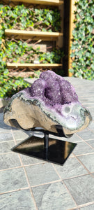 Amethyst from Uruguay ultra high grade ++ on stand - The Twin