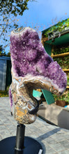 Load image into Gallery viewer, SPINNING AMETHYST ON STAND - STUNNING PATTERNS - SITTING COBRA
