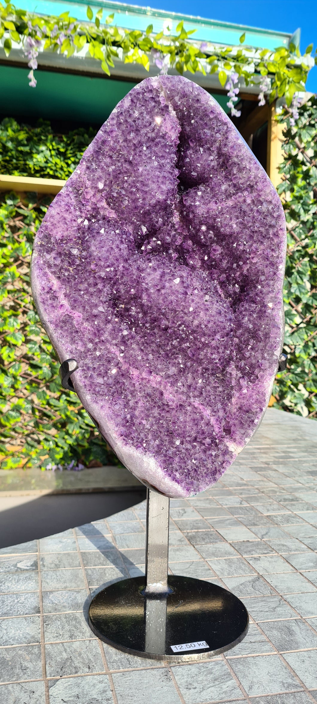 Amethyst from Uruguay ultra high grade ++ on stand