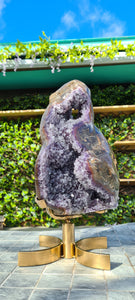 Spinning Amethyst Turtle Shell Rare unique masterpiece with gold flex tortoise
