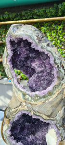 Amethyst spinning infinite 8 rare and unique with hidden Calcite - deep purple colour gold stand