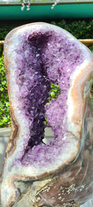 Huge Amethyst spinning almost 2ft tall polished turtle like shell double sided rare and unique - deep purple colour gold stand Active